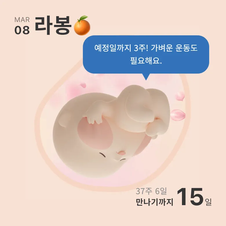 내일 38주0일로 진료 보는데 오늘 이슬비침..?!