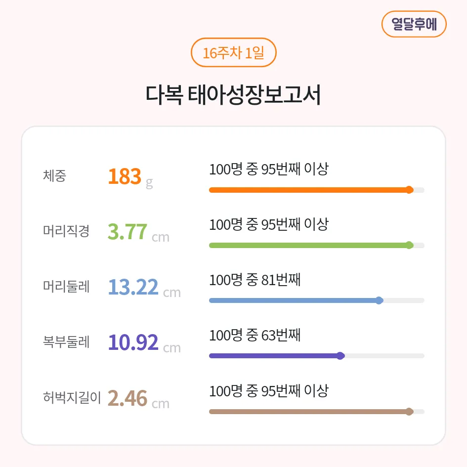 16주 1일 아기 크기..