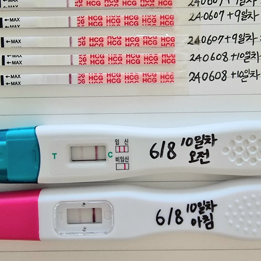 3일배양 11일차 들어갔는데요, 임테기 이 정도면 괜찮은걸까요?