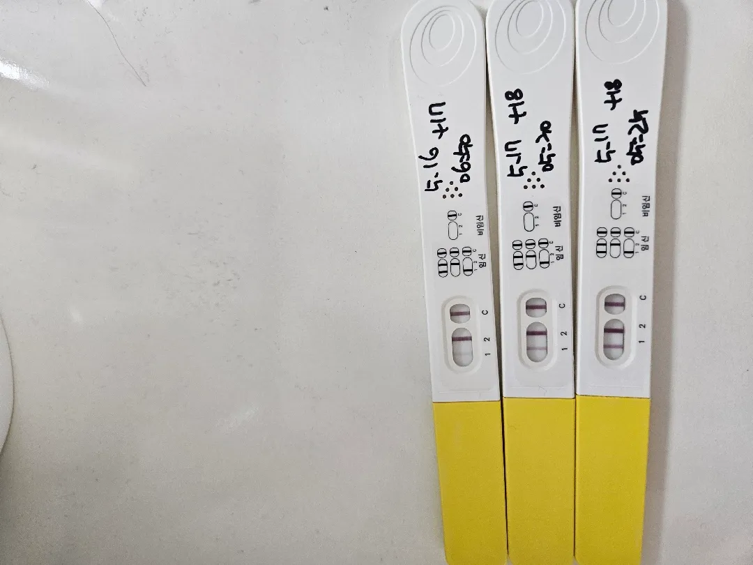 쓰리라인 임테기