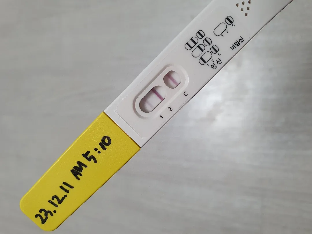 파이널체크 어제 이렇게 나왔으니 아기집 볼 수 있겠죠?