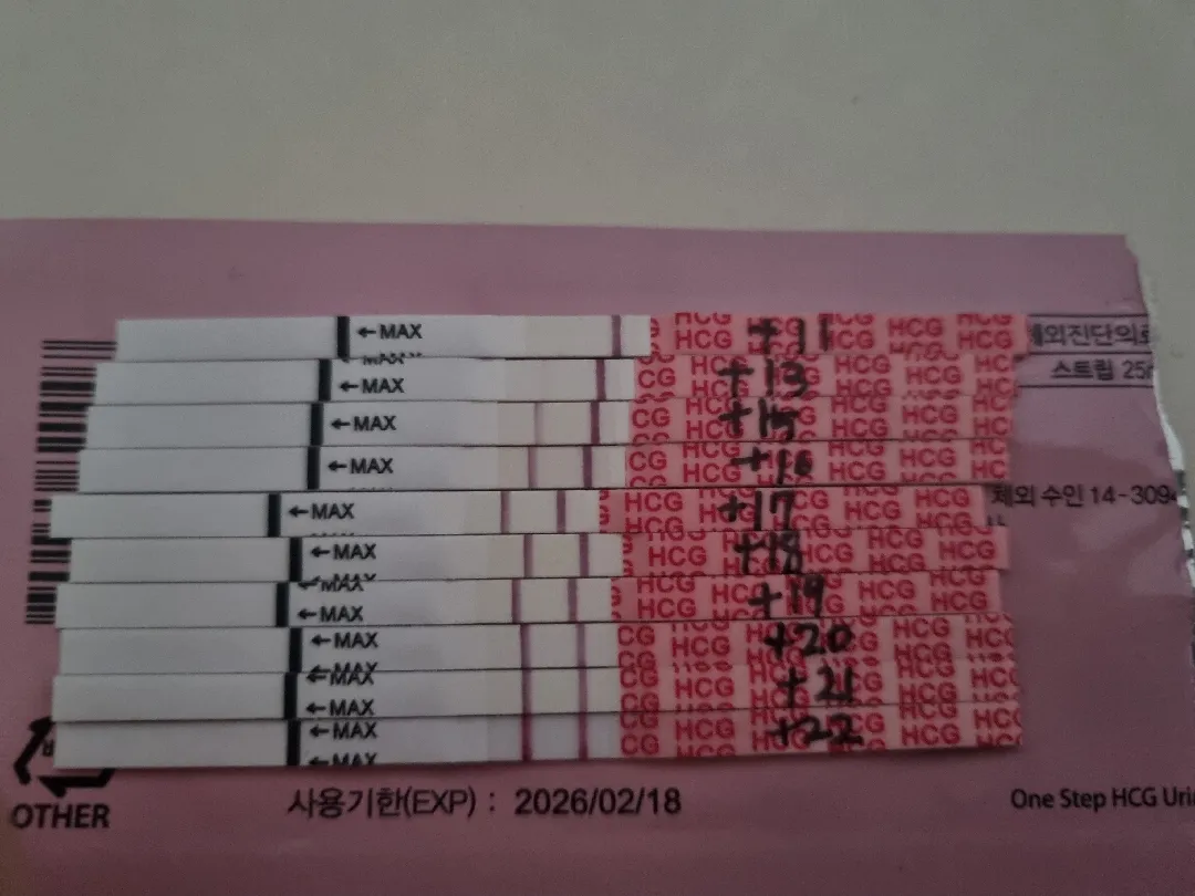 앞이 더 진해지지 않는거 같아서 걱정이에요.. 역전인거겠죠?