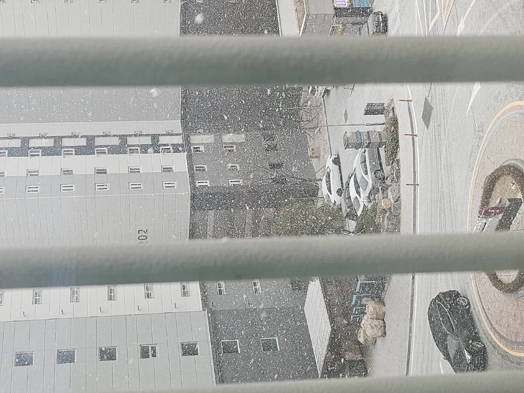 대박 눈와요 !!!