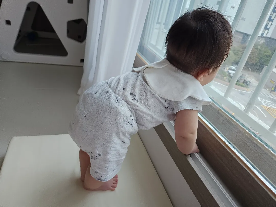 다들 산책 하시나요 ?