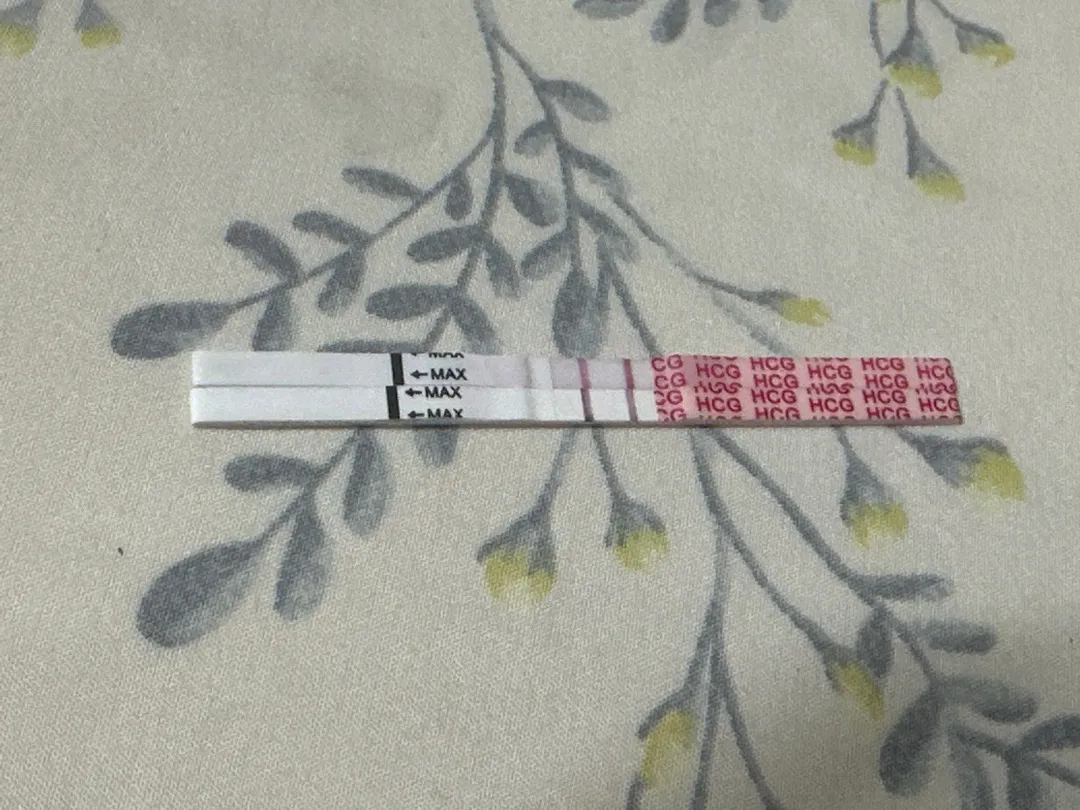 셋째가 생겼네요~!