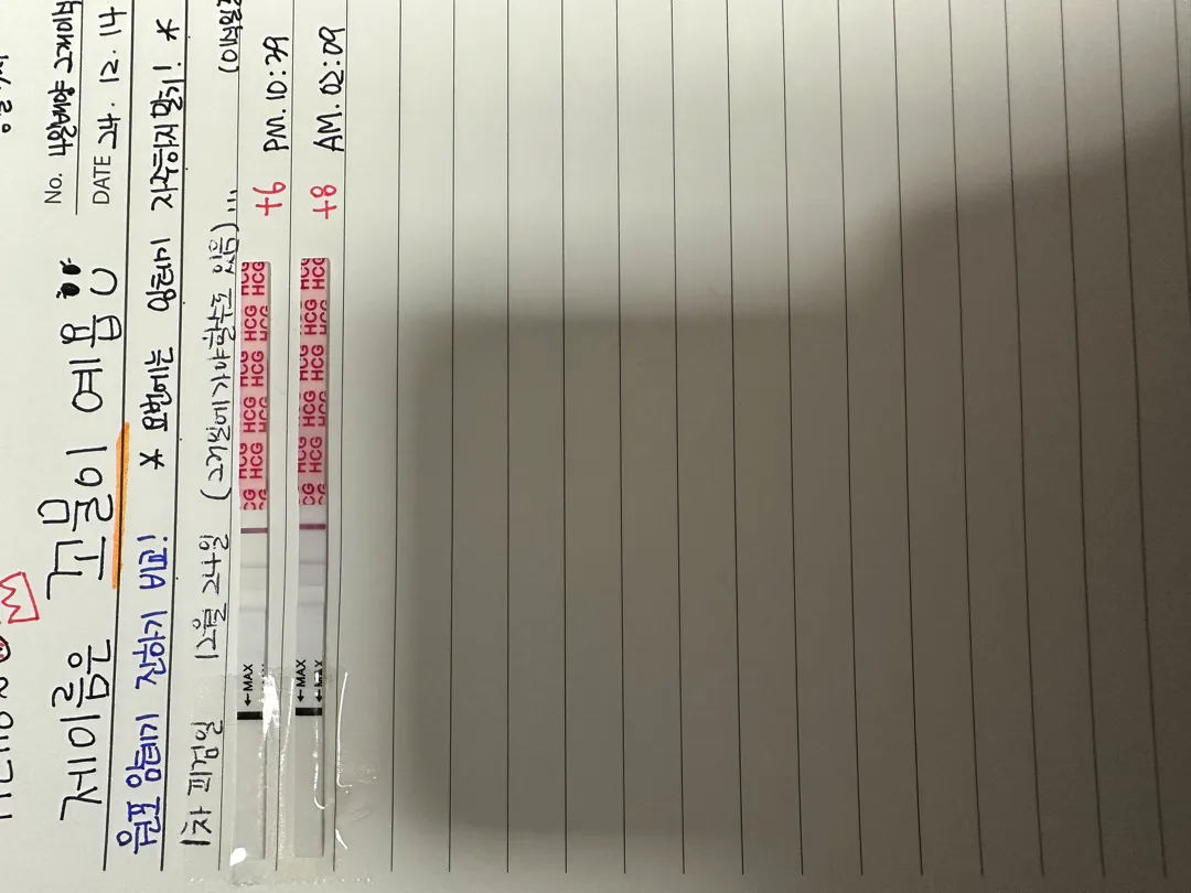 동결4일배양 +8일차 임테기 보이시나요?? 