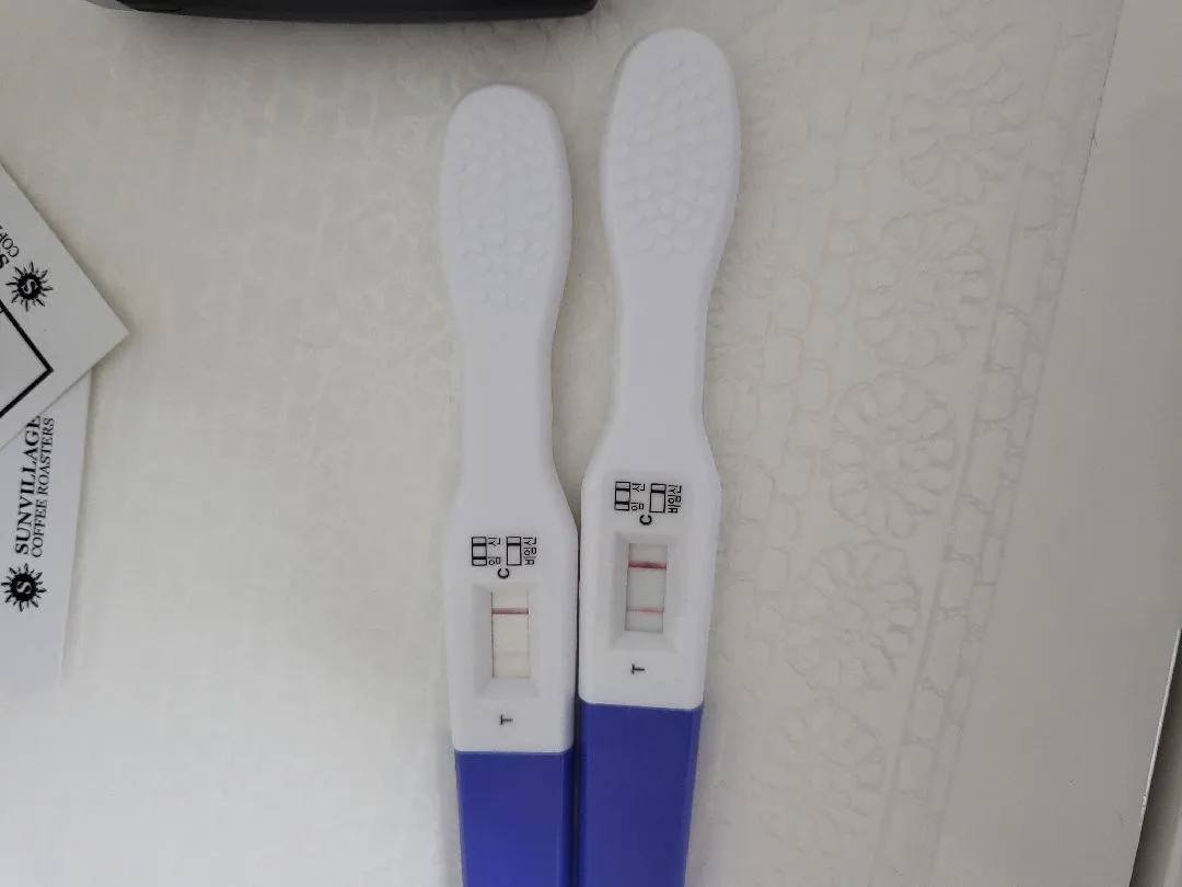 임테기