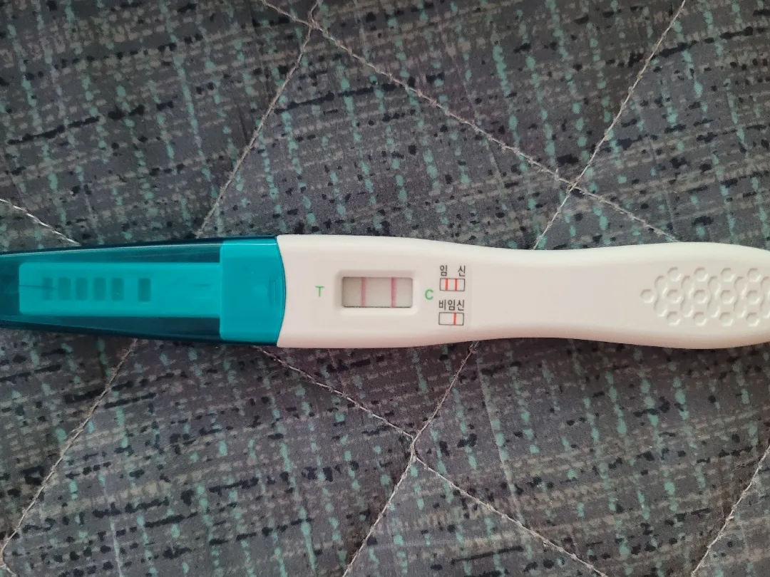 임신테스트기