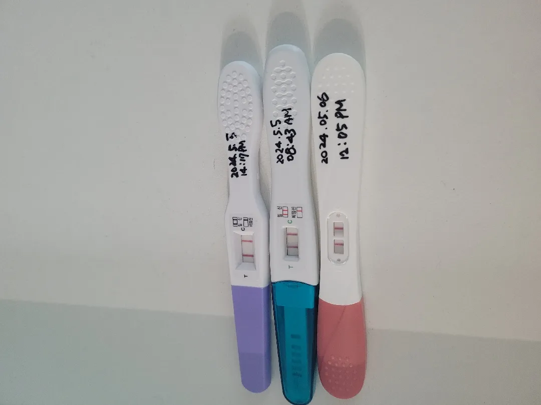 궁금궁금