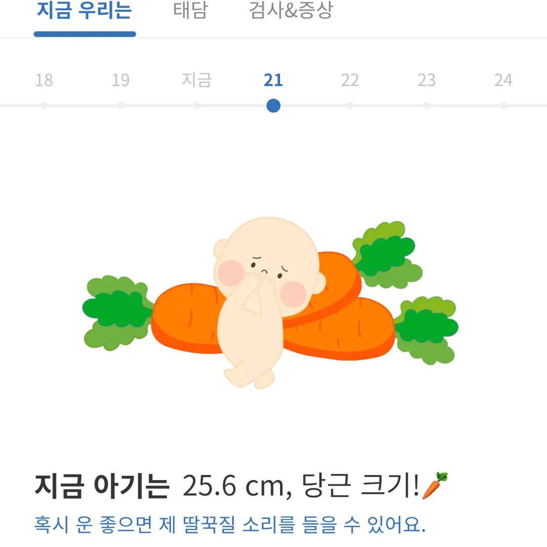 20주~21주 아기 크기 궁금해용