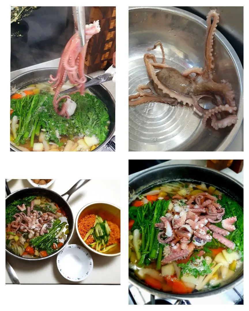 남편자랑!!! 30주차임산부아내 몸보신시켜준다고 바다에서 갓! 잡은 산낙지로 연포탕을~!!!