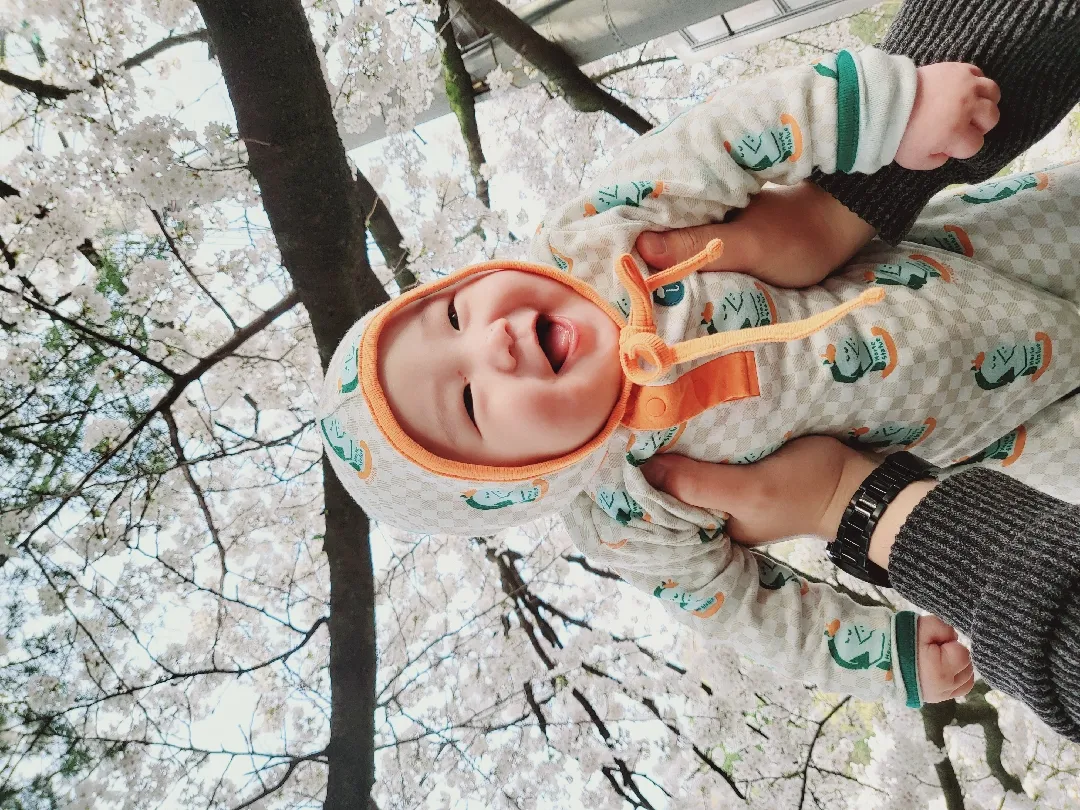 저도 주말동안 벚꽃보러다녀왔어요!!