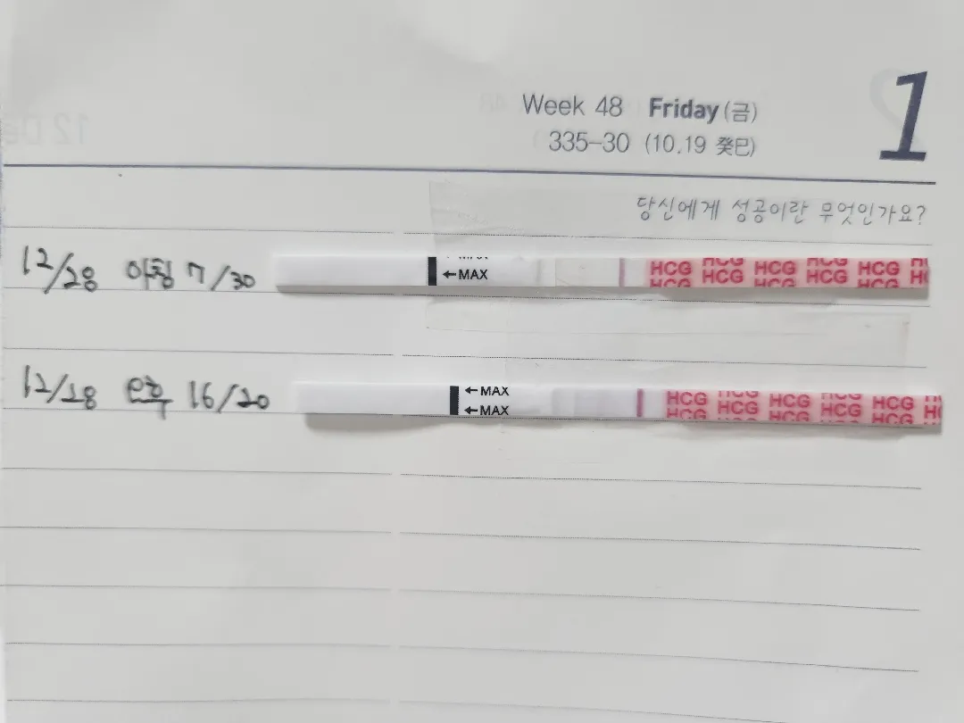 이거봐주세용~~
