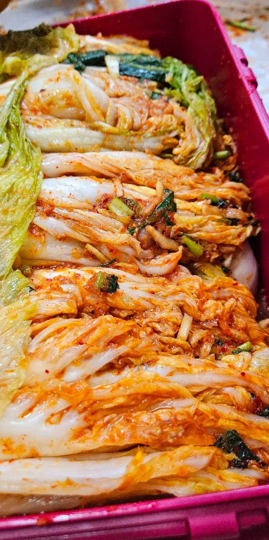 겨울 운동 어떻게 하고 계신가요? ^^