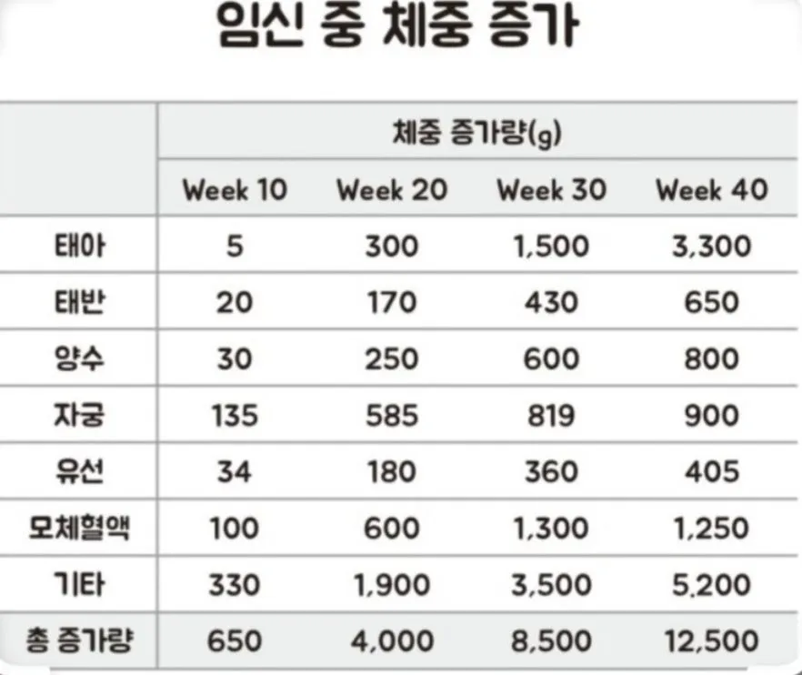 🩷 30주 임산부 몸무게 🩷
