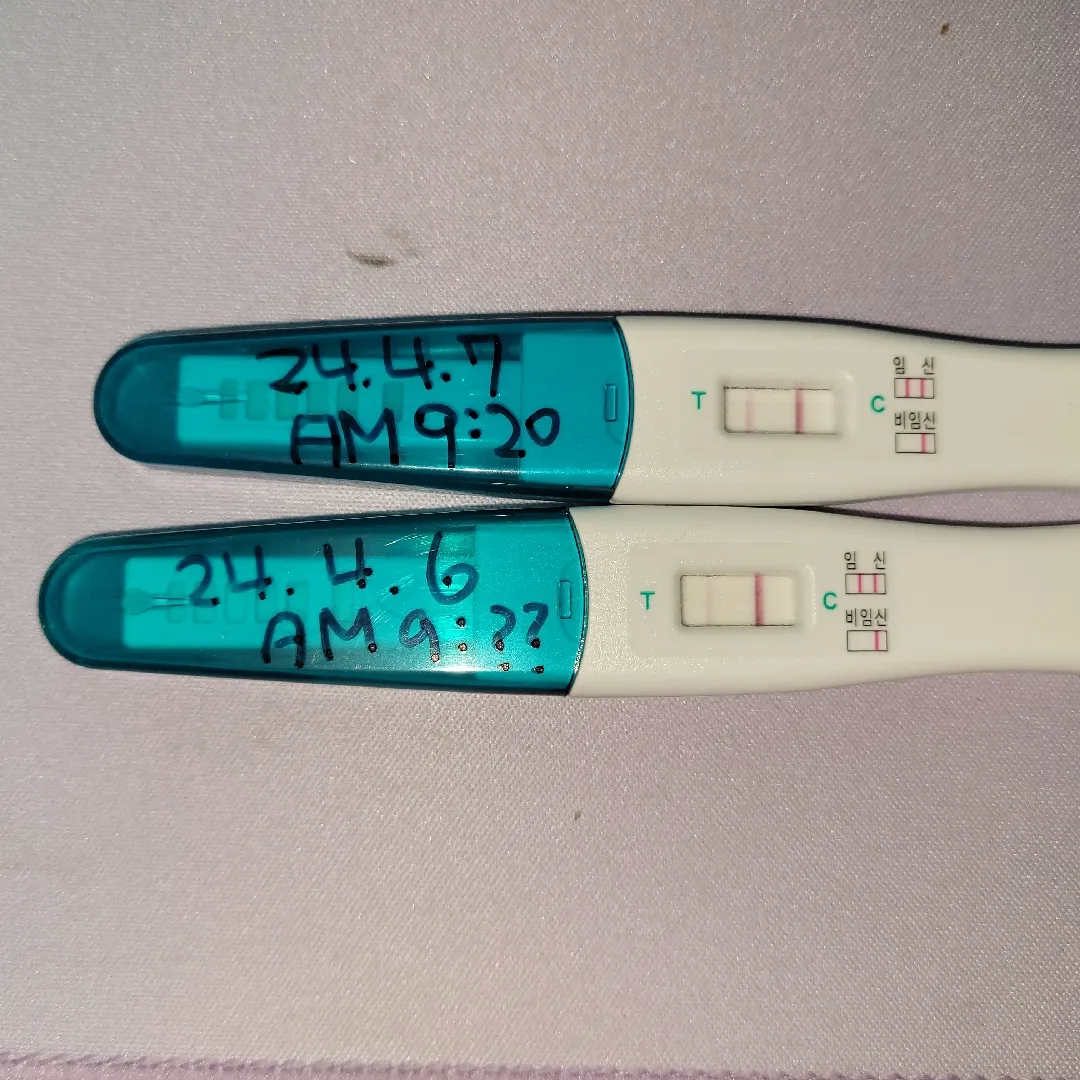 이거 임신 맞는거죠?