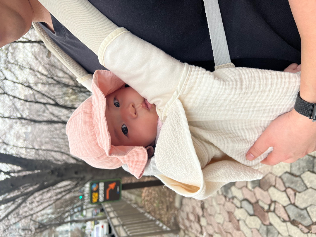 벚꽃 보고 이사갈 집도 알아보고 정신이 없네요