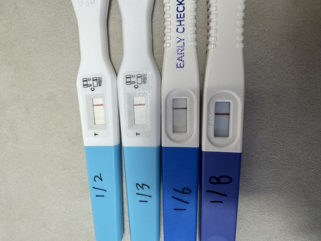 임테기봐주세용