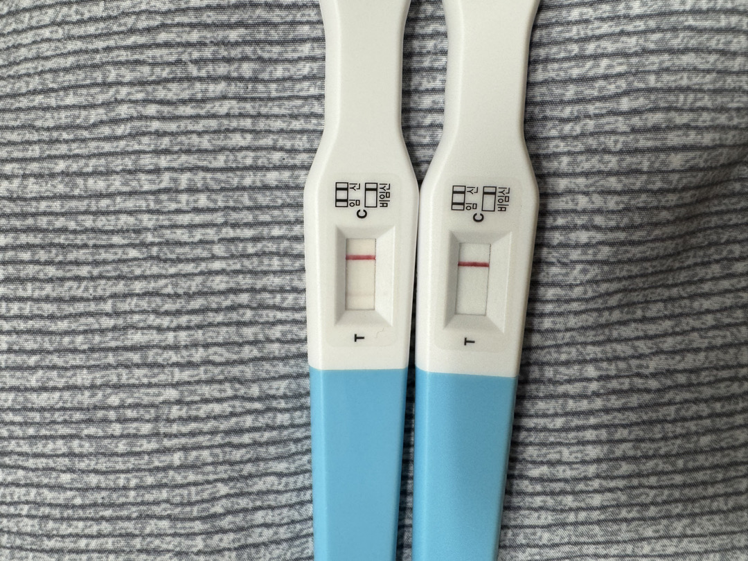임테기봐주세요