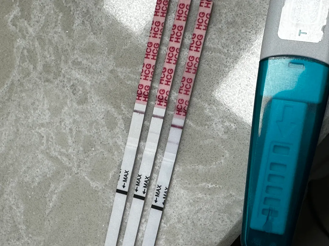 두줄..맞겠죠??
