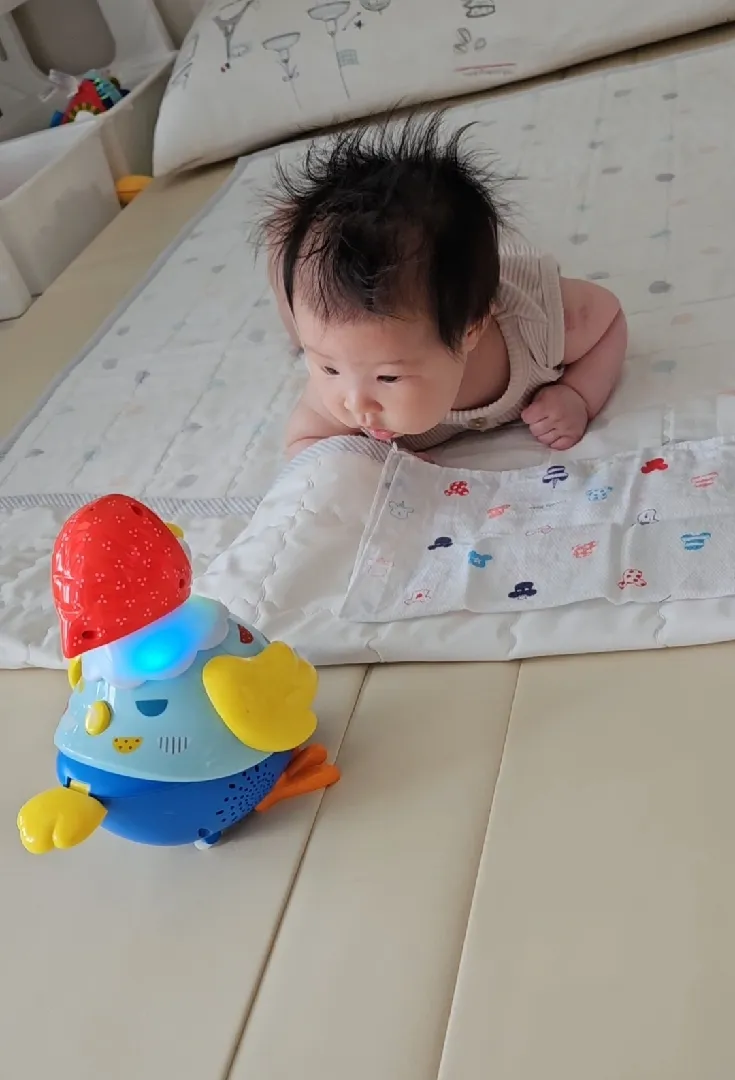 꼬꼬맘 개시했어요ㅎ