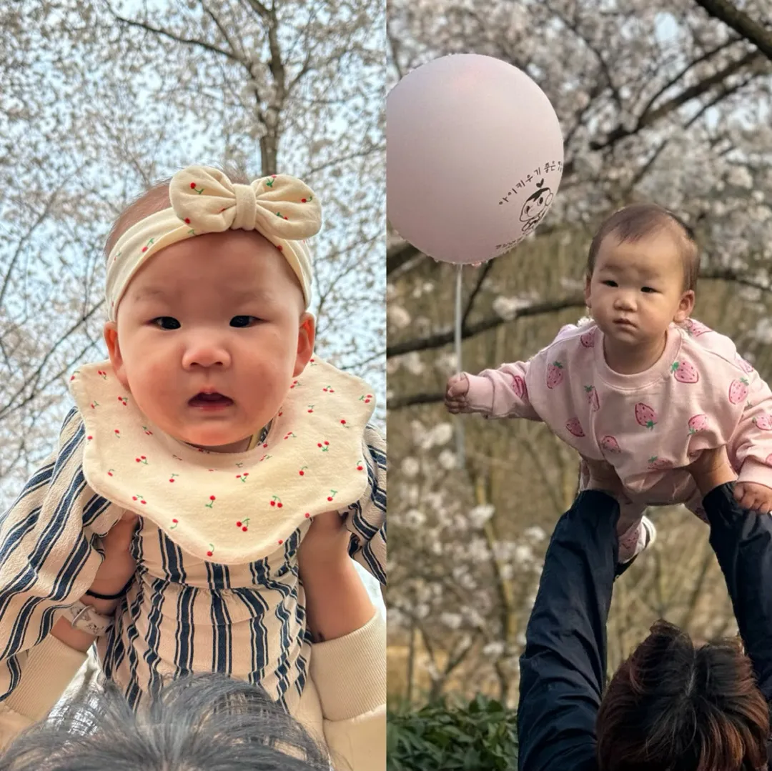 올해 첫 벚꽃축제🌸