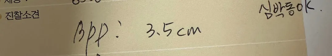 Bpp뭔가요?