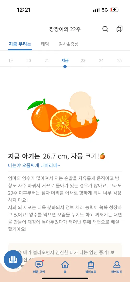 자몽이 어떻게 26cm죠ㅎㅎ?