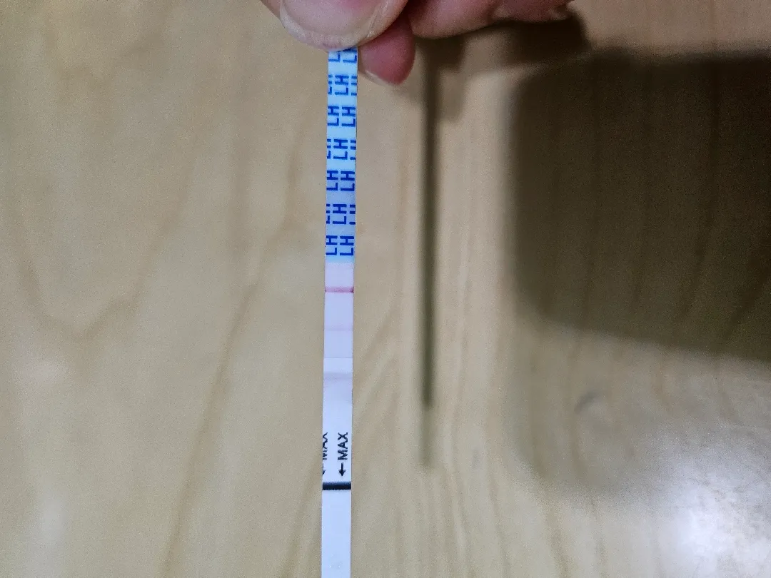 이건 배란전일까요..?