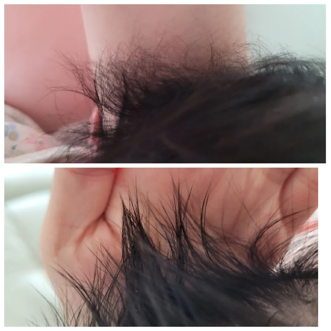 머리카락