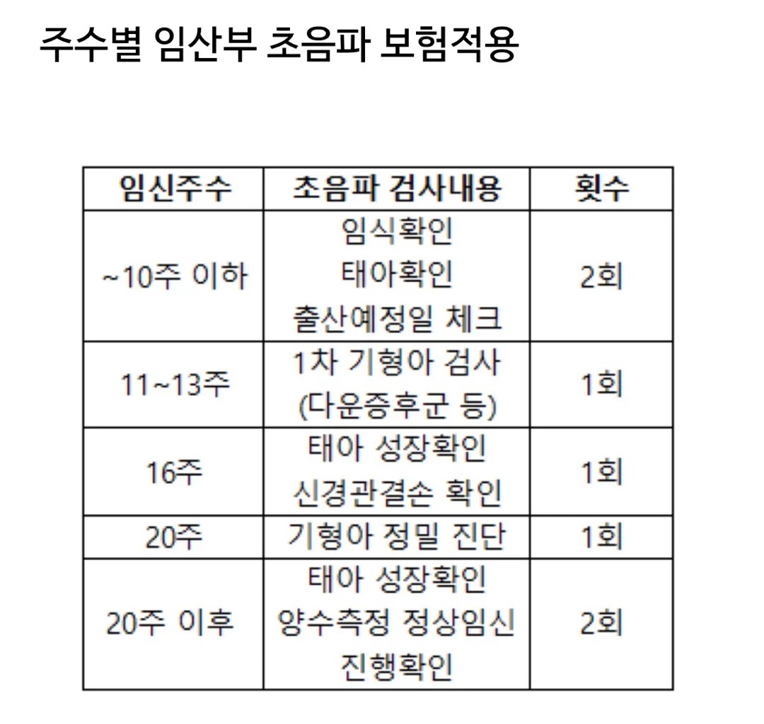 초음파 비용이요!