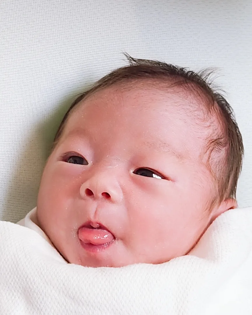 냠냠쟁이 등센서 켜지려고 해요