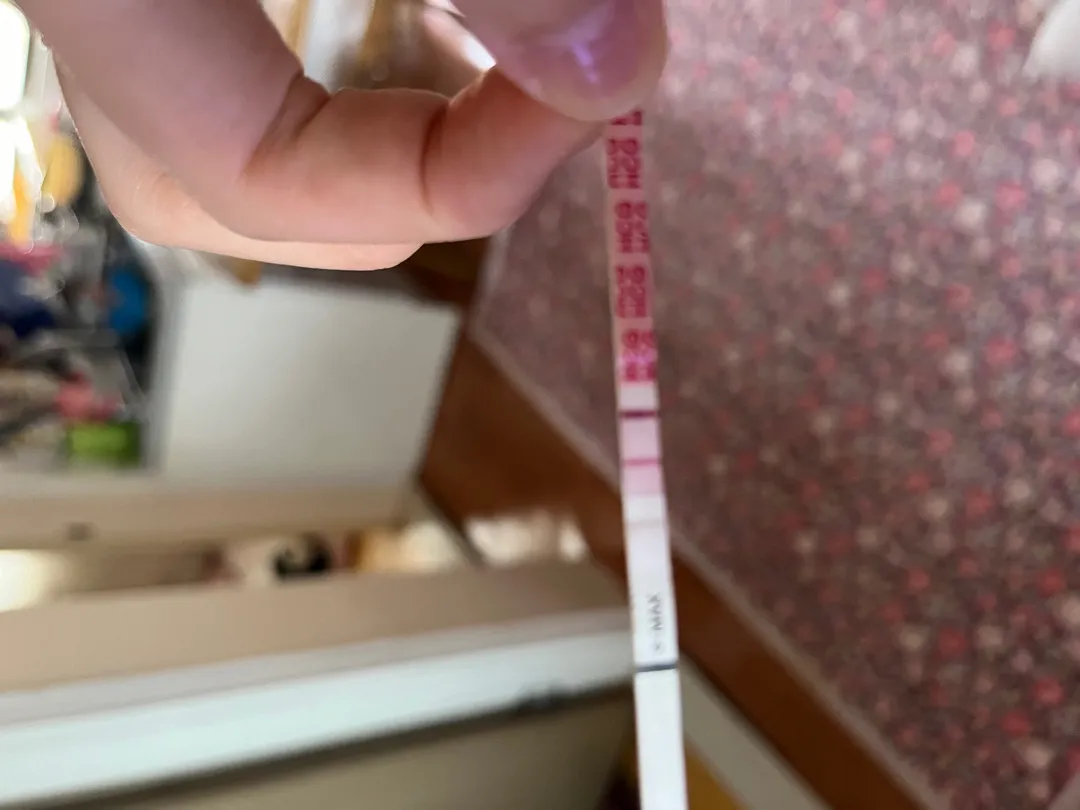 아침에 안하고 지금 해본건데 맞는걸까요..?