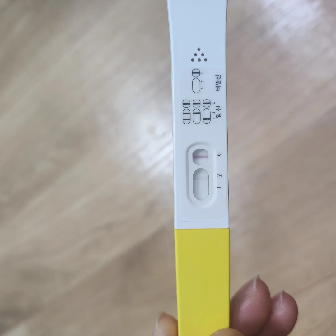 오늘 처음으로 얼리테기 두줄봤어요!