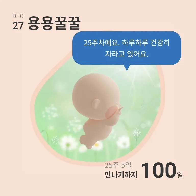 헉..디데이100