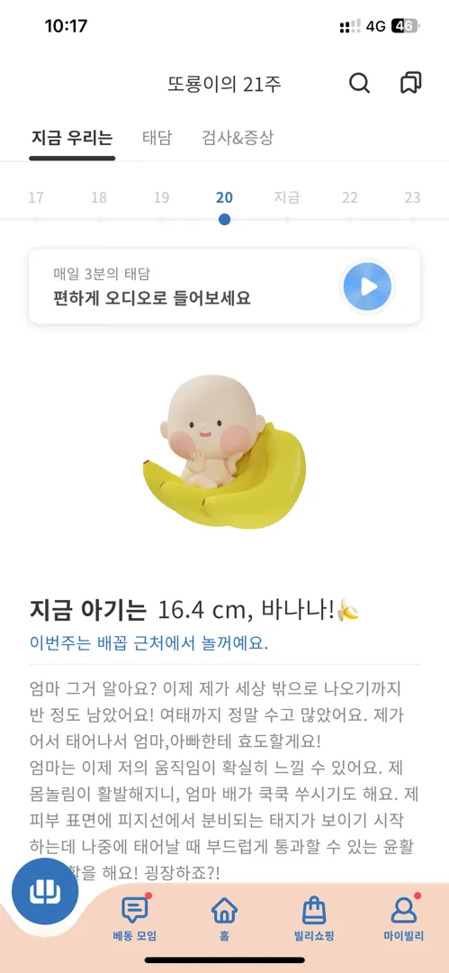 20.21주 크기