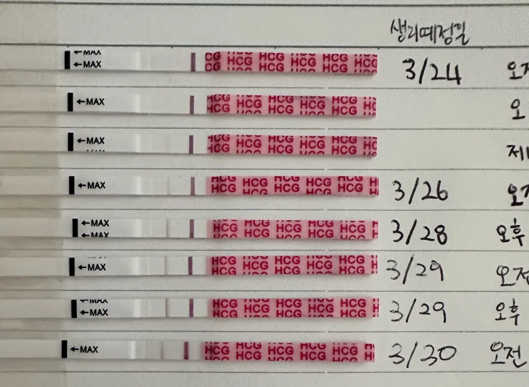 테스트기좀 봐주세요!!