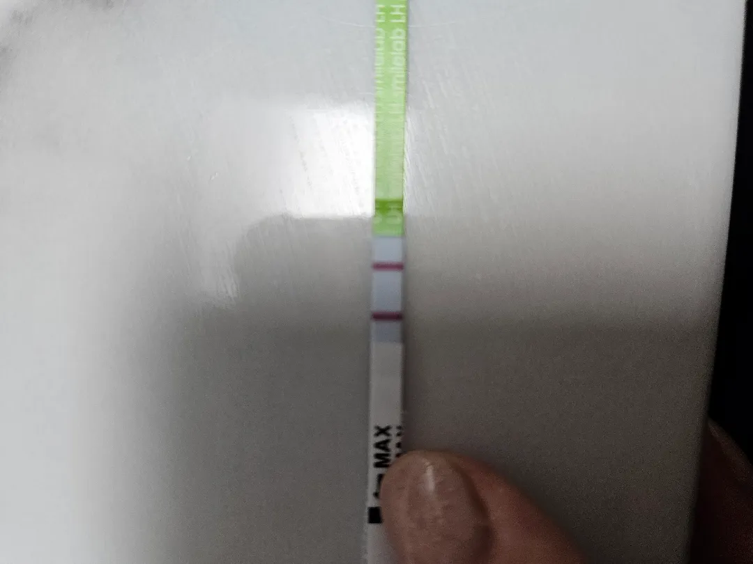 베테기