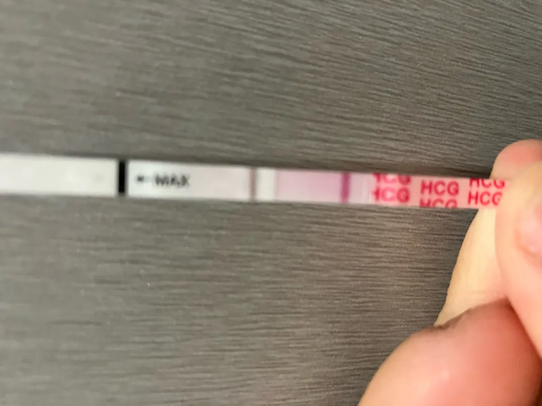 임신테스트기