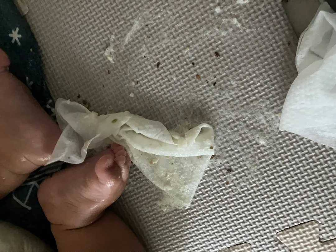 애기토