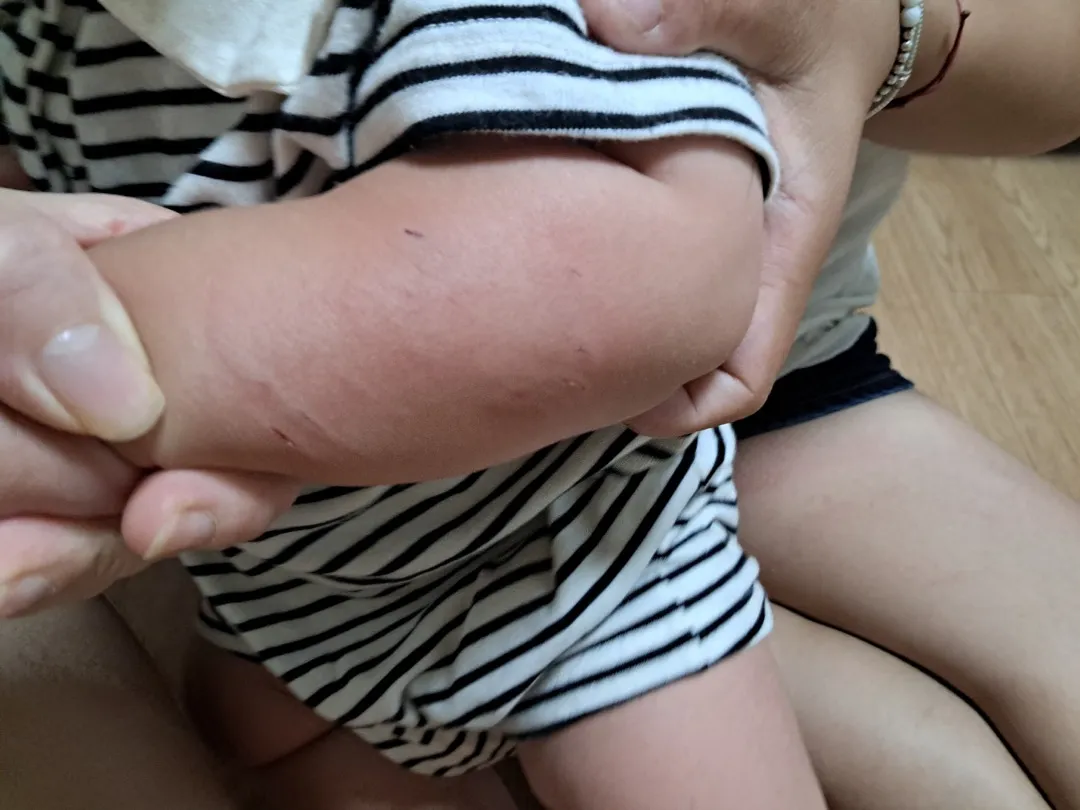 강아지가애기물음