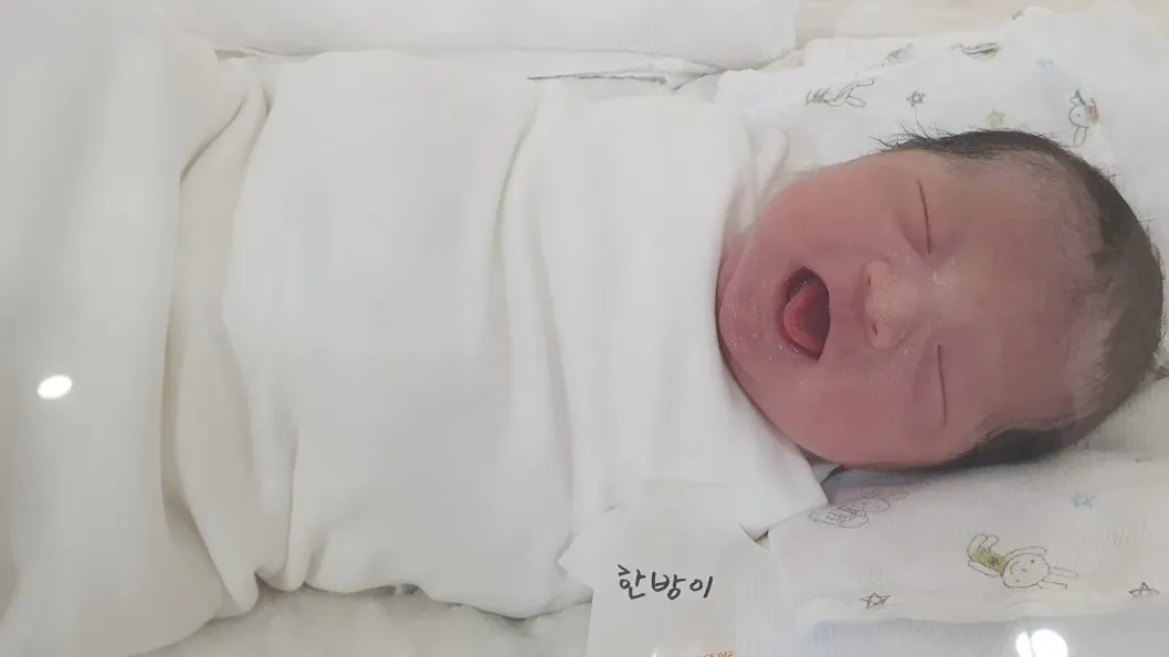 자동제왕으로 방뺐어요