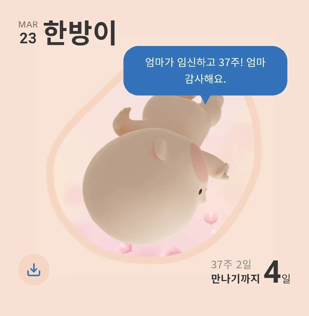 자동제왕4일 남았는데