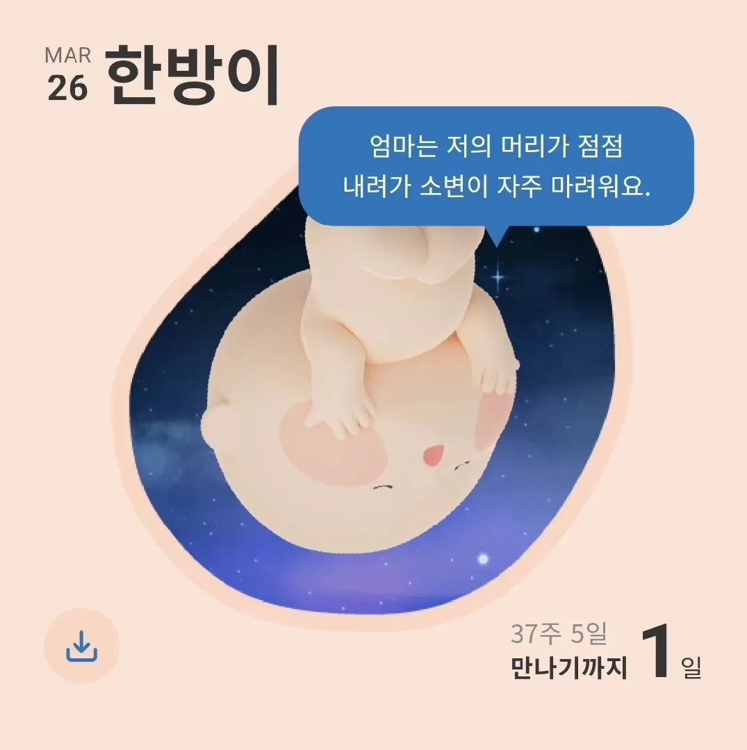 내일 새벽7시 수술예정
