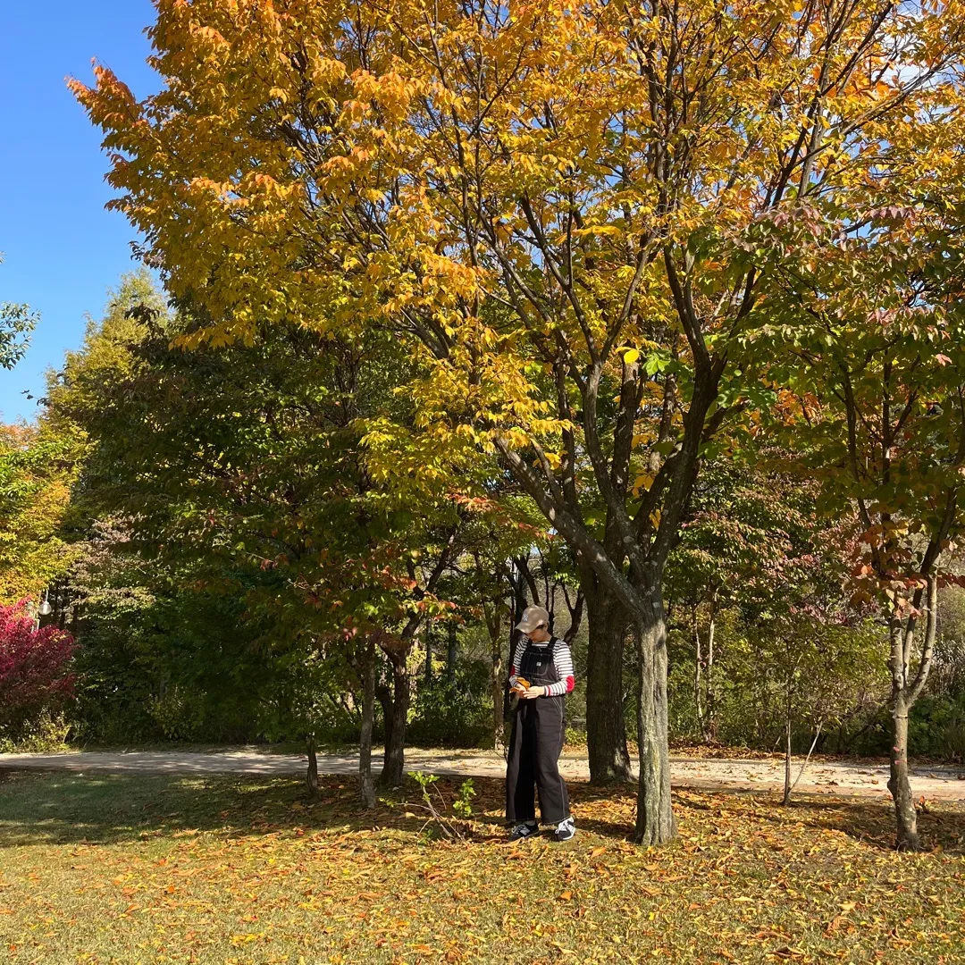 가을 나들이🍂🧡