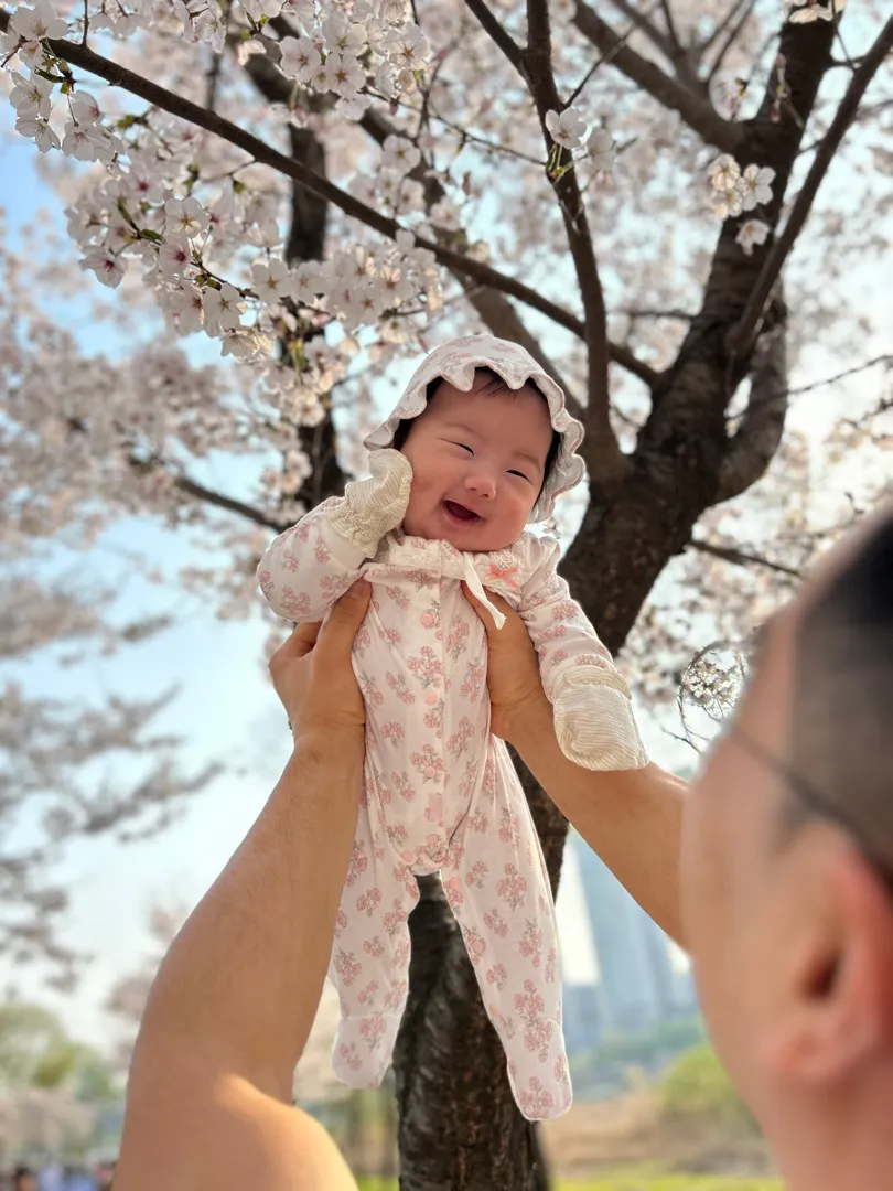 벚꽃샷 