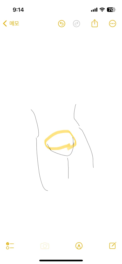 와이존통증? 