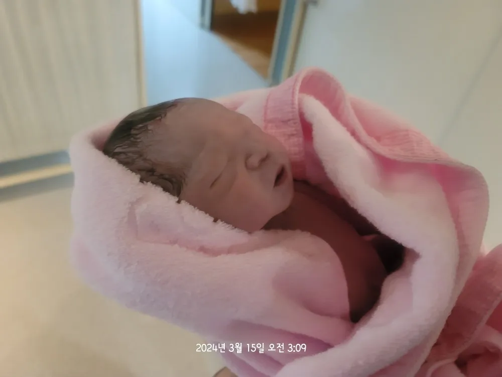 둘째 아가 태어났네요~^^