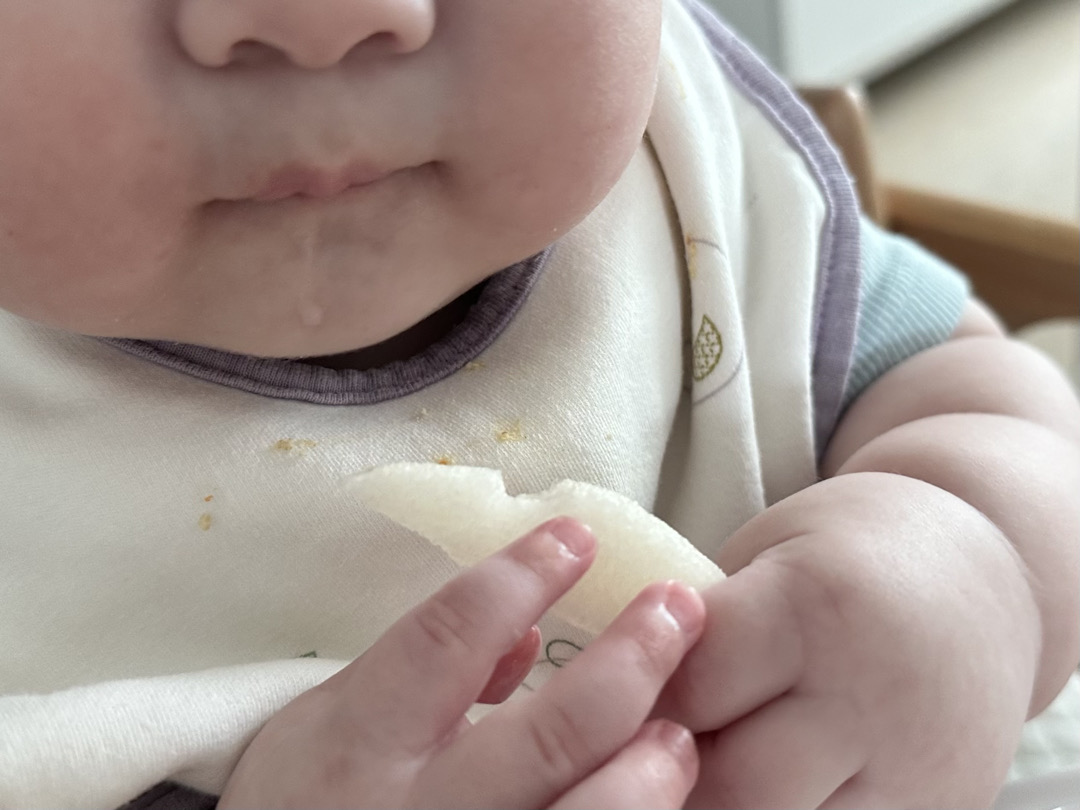 이유식 진짜 안 먹네요🥲