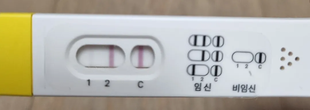 5주3일차인 것 같은데